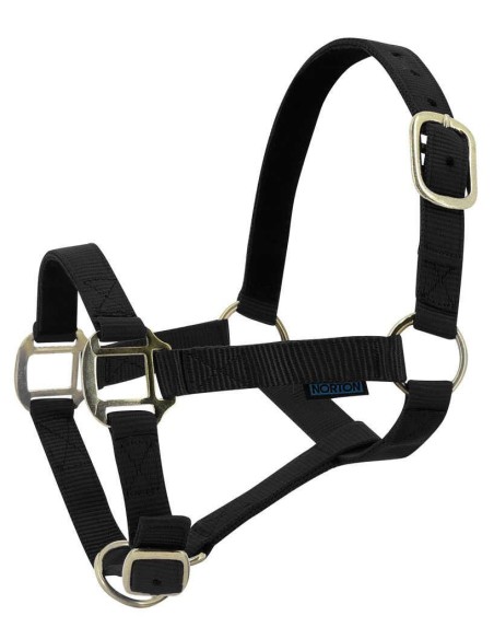 Licol nylon NORTON doublé cuir