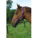 Licol nylon NORTON doublé cuir
