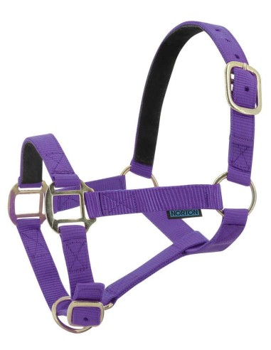 Cabezada de nailon NORTON forrada en cuero