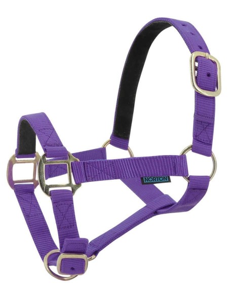 Licol nylon NORTON doublé cuir