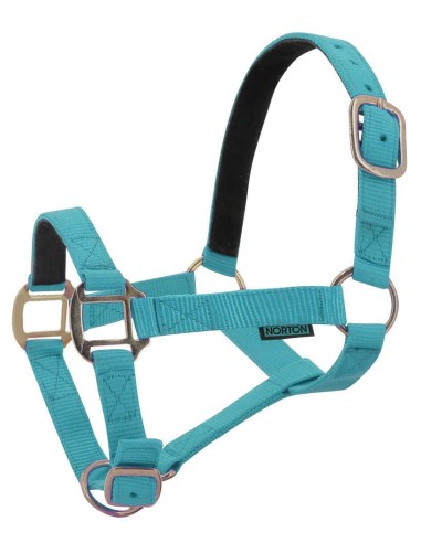Licol nylon NORTON doublé cuir