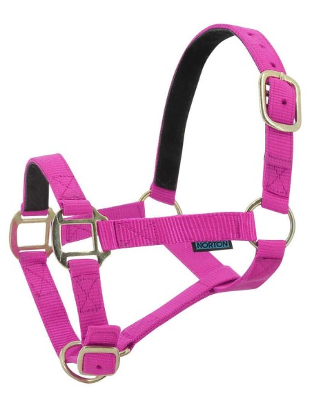 Licol nylon NORTON doublé cuir