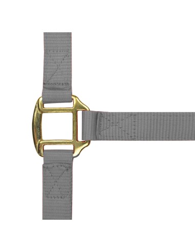 Licol nylon NORTON doublé cuir