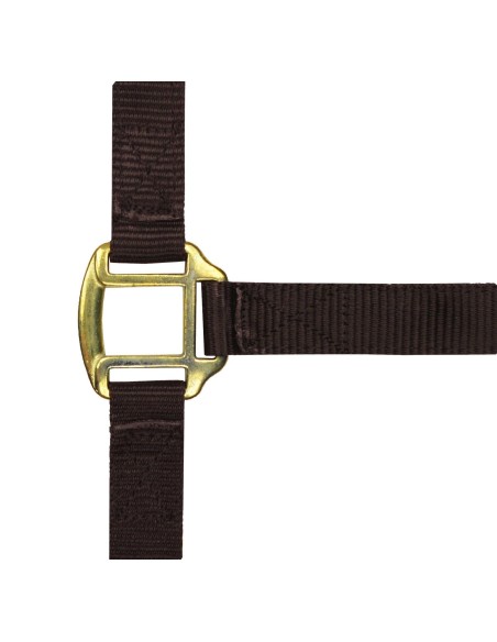 Licol nylon NORTON doublé cuir