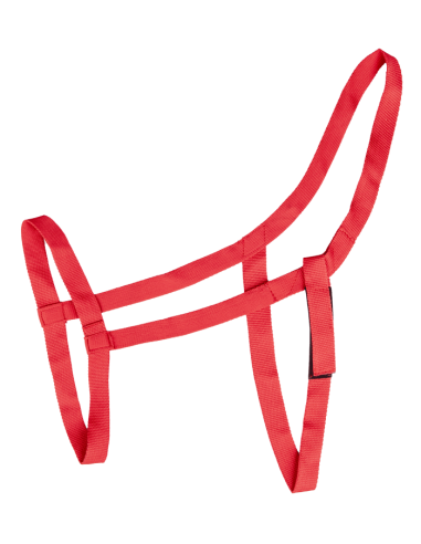 Licol de pâturage ou de randonnée