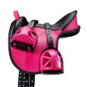 Selle Wintec Educative pack