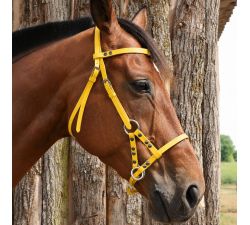 Side Pull biothane DMH-Equitation