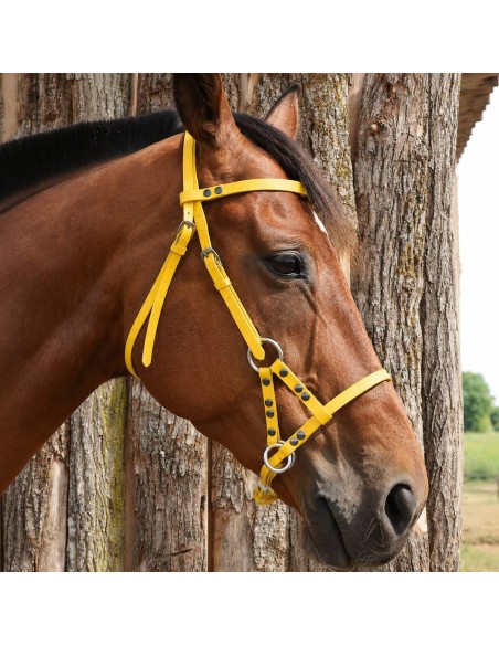 Side Pull biothane DMH-Equitation