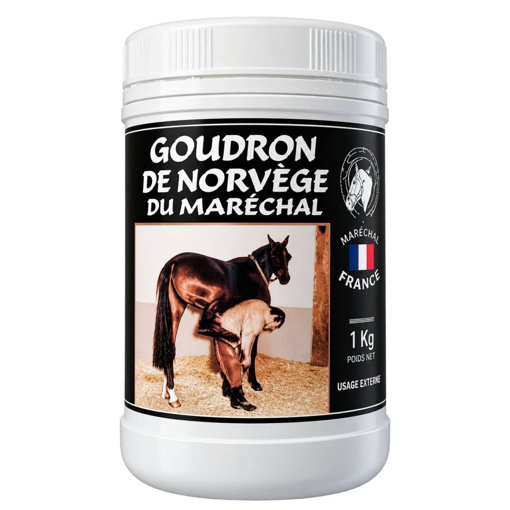 goudron-de-norvege-du-marechal