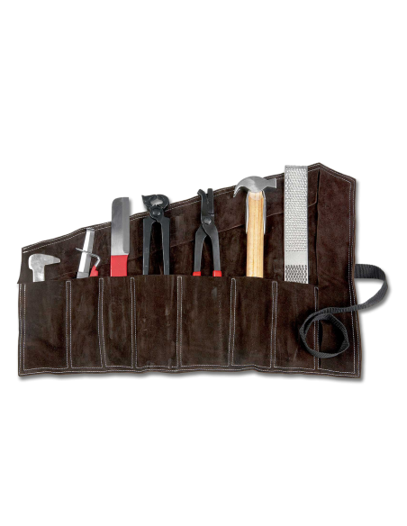 Juego de herramientas de herrador con estuche de cuero Waldhausen