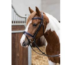 Imperial-Riding-Trense aus farbigem Leder mit Strasssteinen