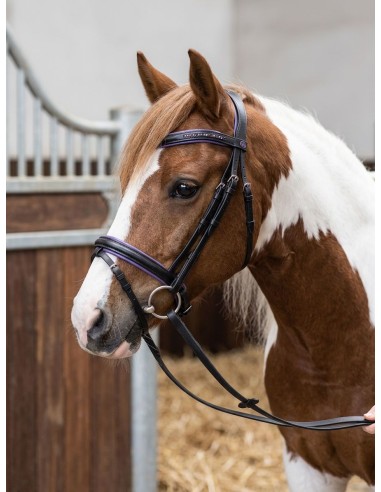 Bridon cuir color et strass Imperial-Riding