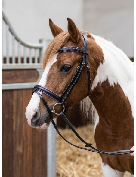 Bridon cuir color et strass Imperial-Riding