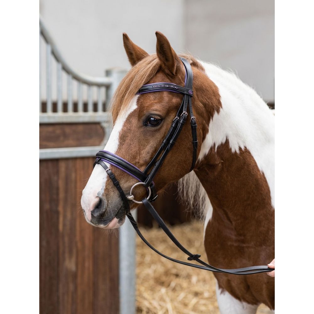 Bridon cuir color et strass Imperial-Riding