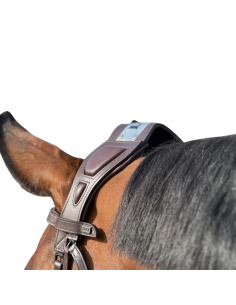 ravene-shampoing-easy-shine-grey 2