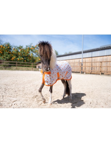 Bridon Toy Pony LeMieux