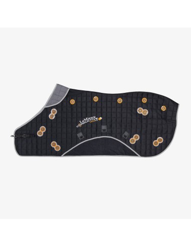 Chemise Conductive Magno LeMieux
