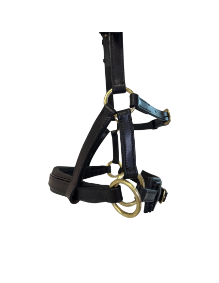 Bridon Sidepull cuir No More TdeT