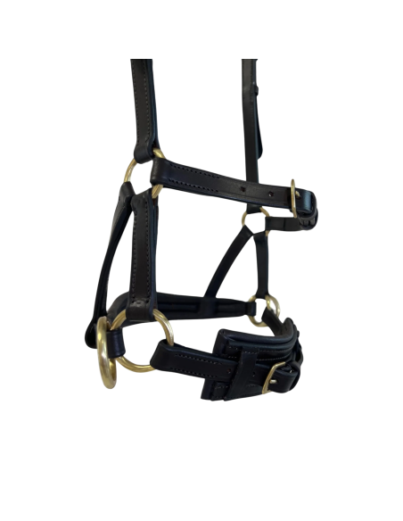 Bridon Sidepull cuir No More TdeT
