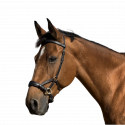 Bridon Sidepull cuir No More TdeT