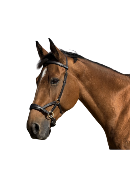 Bridon Sidepull cuir No More TdeT