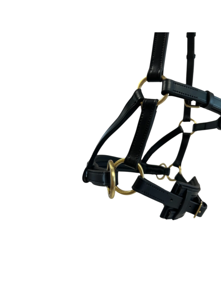 Bridon Sidepull cuir No More TdeT