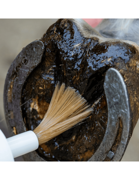 Cura Naturale Öl für feuchte Hufe von Pferden
