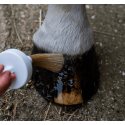 Huile sabots humides cheval Cura naturale