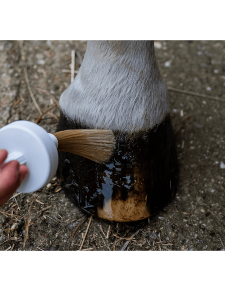 Huile sabots humides cheval Cura naturale