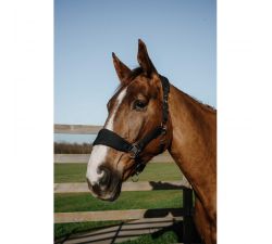 Licol EQUITHÈME – Breeze