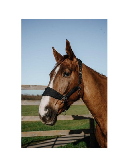 Licol EQUITHÈME – Breeze