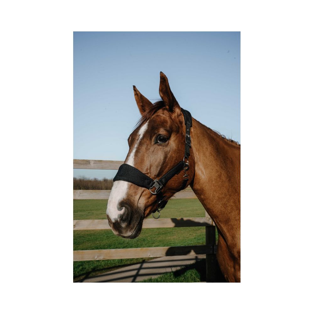 Licol EQUITHÈME – Breeze