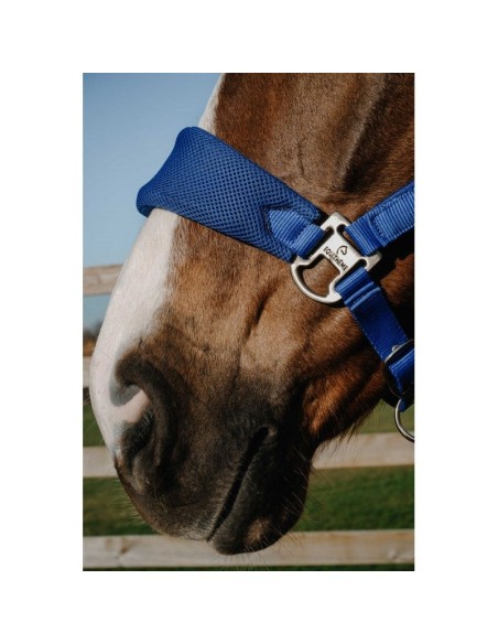 Licol EQUITHÈME – Breeze