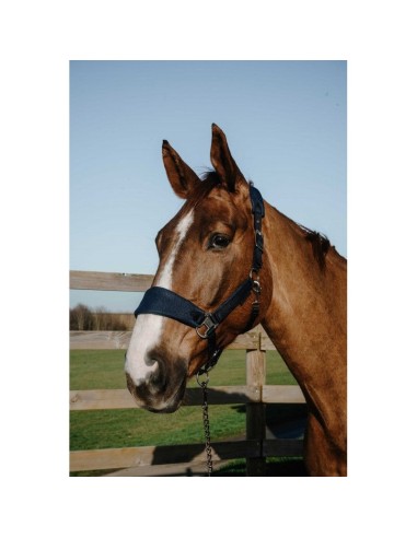 Licol EQUITHÈME – Breeze