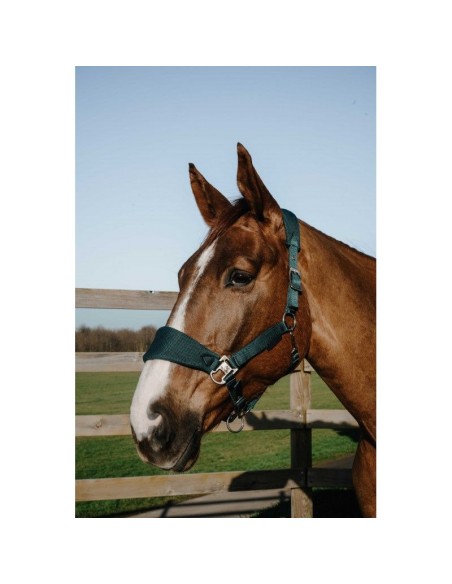 Licol EQUITHÈME – Breeze