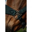 Licol EQUITHÈME – Breeze