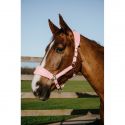 Licol EQUITHÈME – Breeze