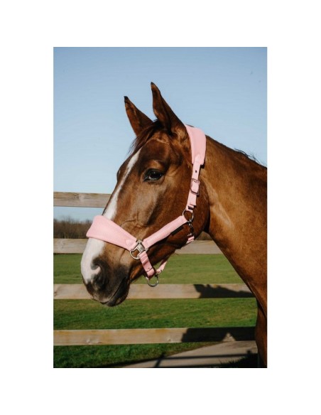 Licol EQUITHÈME – Breeze