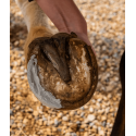 Argile assainissante sabots Cheval Cura Naturale