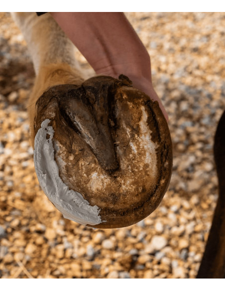 Argile assainissante sabots Cheval Cura Naturale
