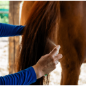 Huile nourrissante robe Cheval Cura Naturale
