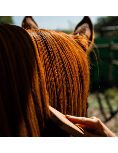 Aceite nutritivo para el pelaje del caballo Cura Naturale