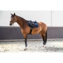 Tapis de selle LAMICELL - V22 Picasso