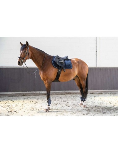 Tapis de selle LAMICELL - V22 Picasso