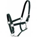 Licol NORTON - Dream