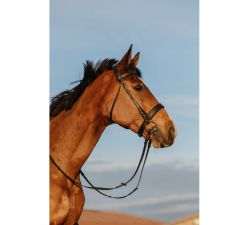Bridon RIDING WORLD - Muserolle large