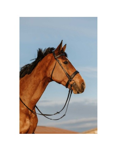 Bridon RIDING WORLD - Muserolle large
