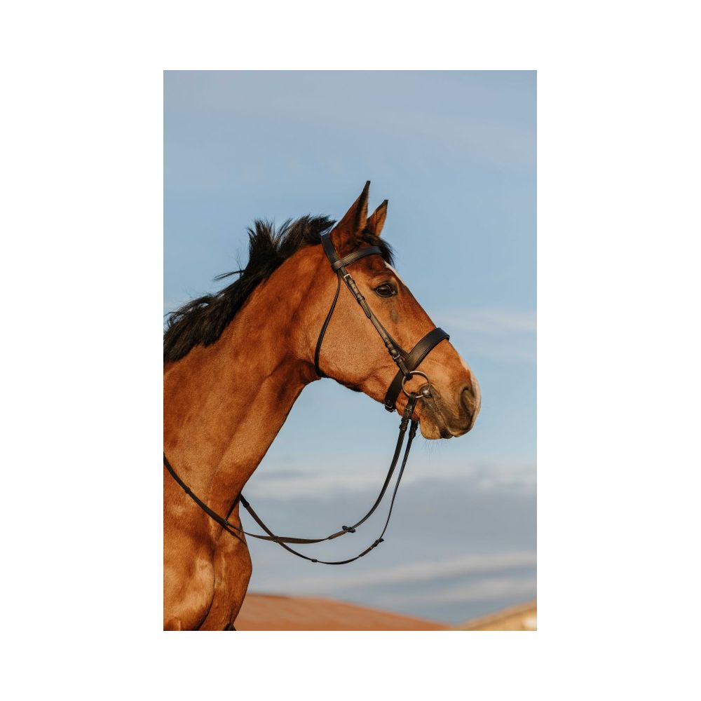 Bridon RIDING WORLD - Muserolle large