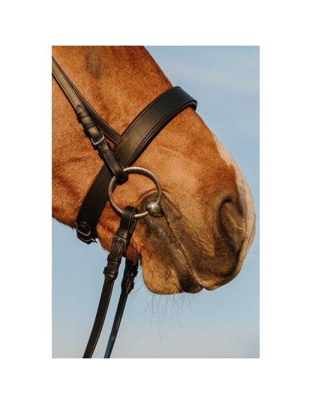 Bridon RIDING WORLD - Muserolle large