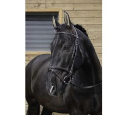 Bridon RIDING WORLD - Muserolle combinée
